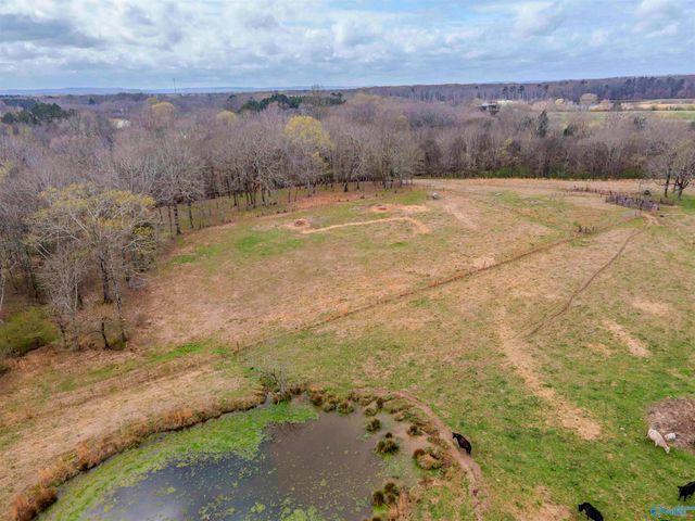 1267 County Road 135, Town Creek, AL 35672