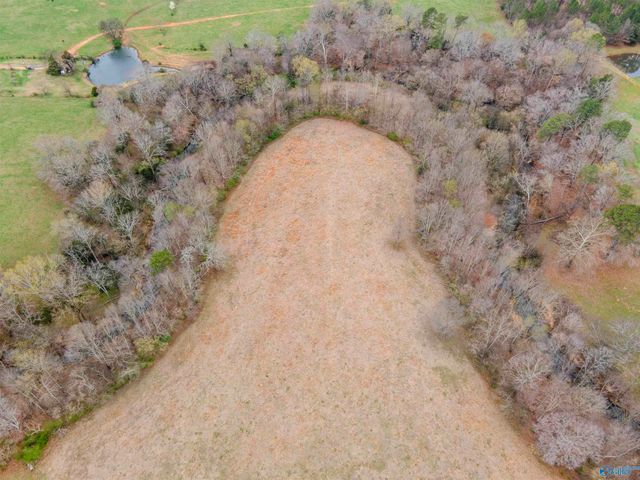 1267 County Road 135, Town Creek, AL 35672