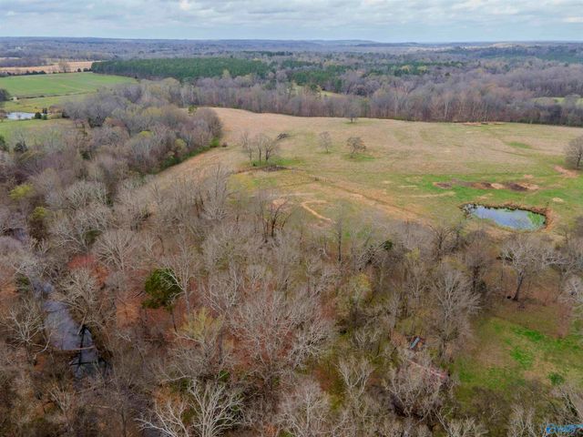 1267 County Road 135, Town Creek, AL 35672