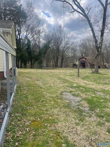 1267 County Road 135, Town Creek, AL 35672