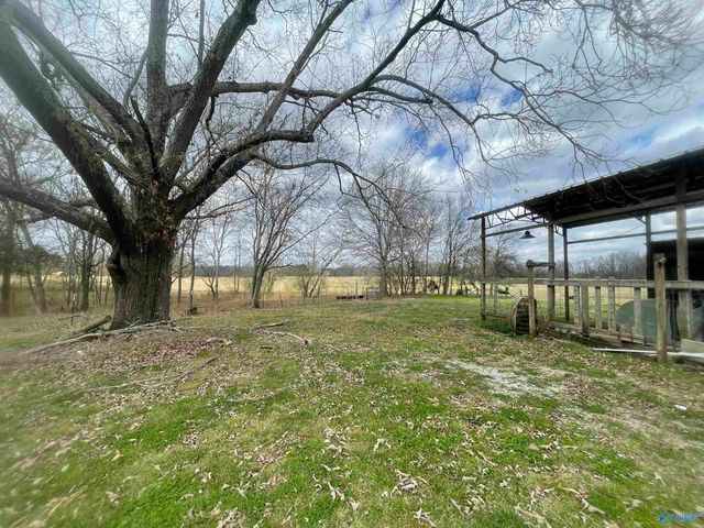 1267 County Road 135, Town Creek, AL 35672