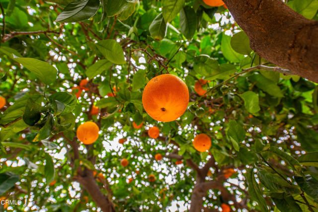 2791 Waverly Avenue, Camarillo, CA 93010