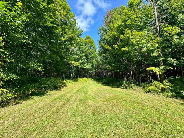 40 acres Bradley Road, Crystal Falls, MI 49920