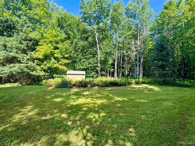 40 acres Bradley Road, Crystal Falls, MI 49920