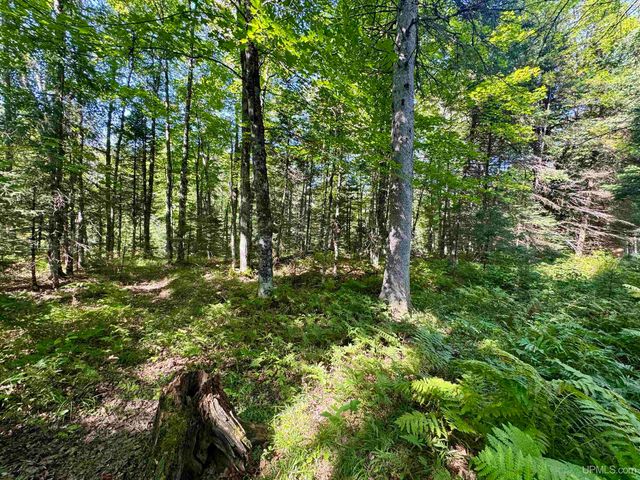 40 acres Bradley Road, Crystal Falls, MI 49920