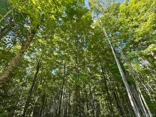 40 acres Bradley Road, Crystal Falls, MI 49920