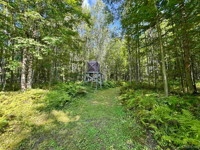 40 acres Bradley Road, Crystal Falls, MI 49920