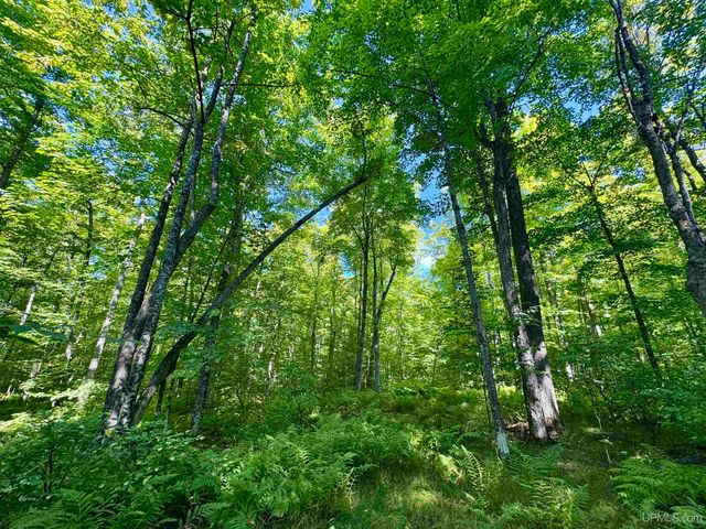 40 acres Bradley Road, Crystal Falls, MI 49920