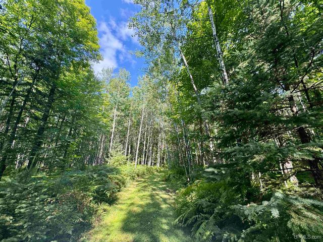 40 acres Bradley Road, Crystal Falls, MI 49920