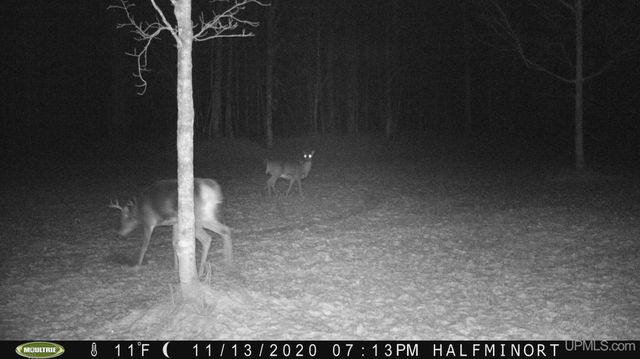 40 acres Bradley Road, Crystal Falls, MI 49920