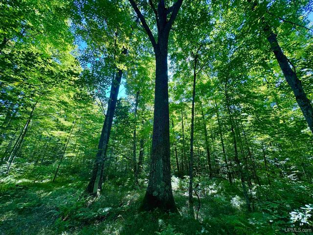 40 acres Bradley Road, Crystal Falls, MI 49920