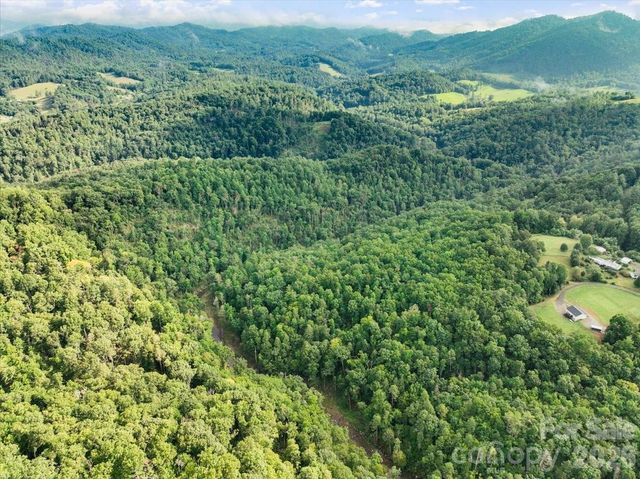 TBD Rabbit Hop Road, Spruce Pine, NC 28777