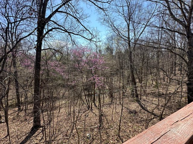 7312 Highway 60, Georgetown, TN 37336