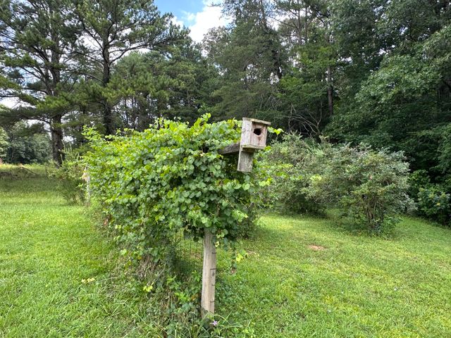 7312 Highway 60, Georgetown, TN 37336