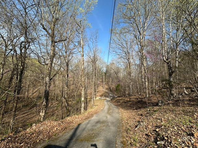 7312 Highway 60, Georgetown, TN 37336