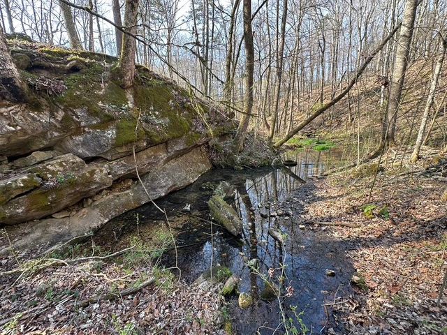 7312 Highway 60, Georgetown, TN 37336