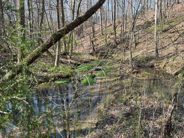 7312 Highway 60, Georgetown, TN 37336