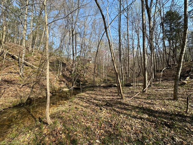 7312 Highway 60, Georgetown, TN 37336