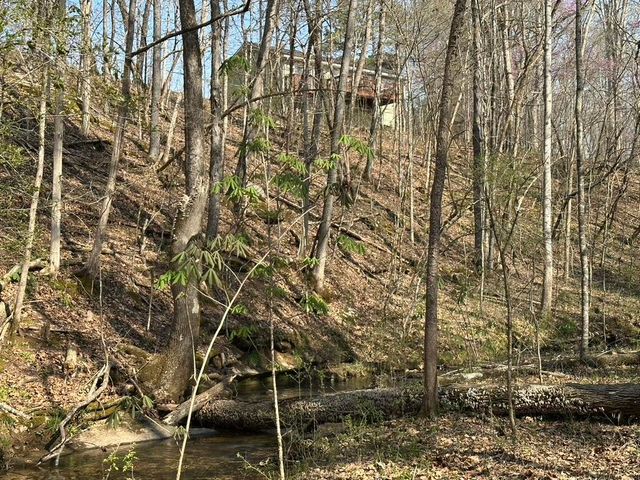7312 Highway 60, Georgetown, TN 37336