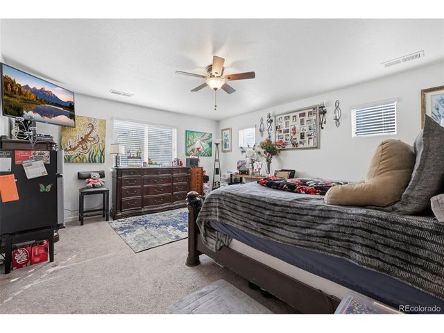 915 Mcmurdo Cir, Castle Rock, CO 80108