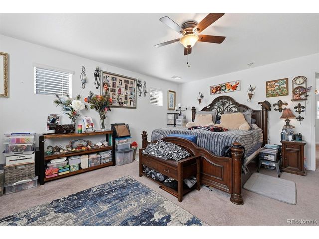 915 Mcmurdo Cir, Castle Rock, CO 80108