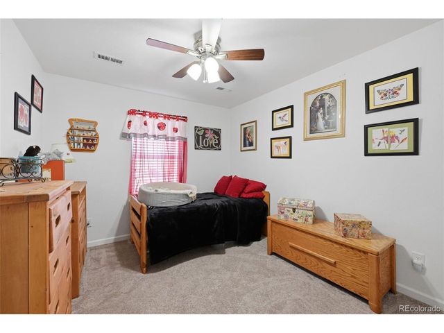 915 Mcmurdo Cir, Castle Rock, CO 80108