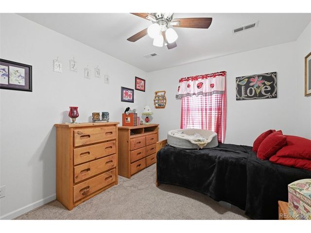 915 Mcmurdo Cir, Castle Rock, CO 80108