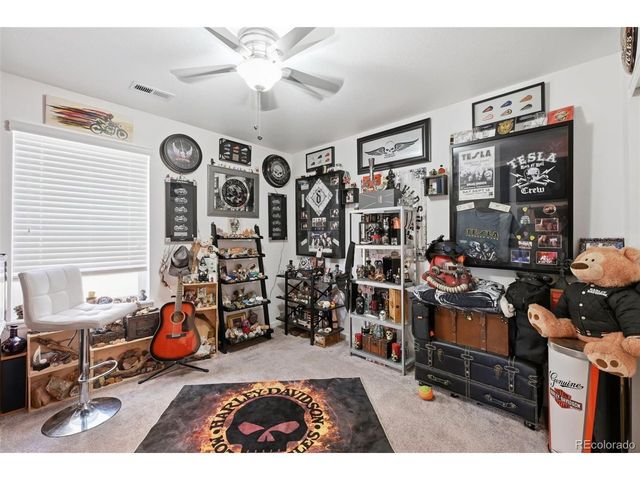 915 Mcmurdo Cir, Castle Rock, CO 80108