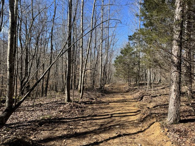 0 Waterfall Creek Road, Collinwood, TN 38450