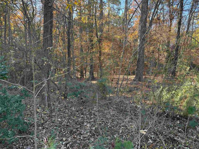 214 Plum Creek, Longview, TX 75605