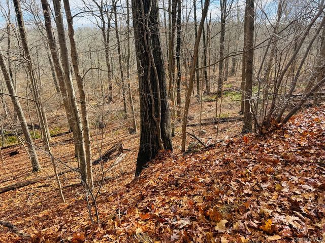 lot 10 Shamrock Drive, Putnam Valley, NY 10579