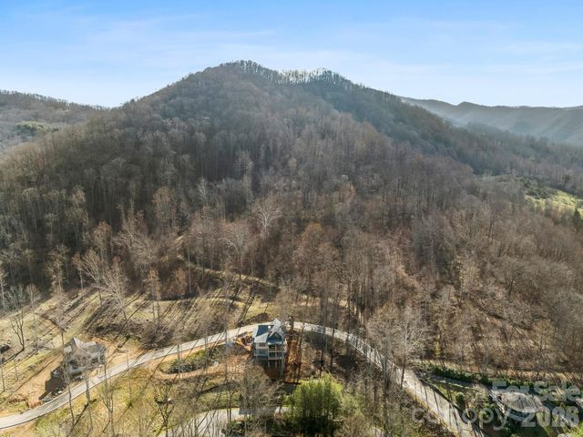 51 Bear Tree Cove, Canton, NC 28716