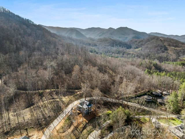 51 Bear Tree Cove, Canton, NC 28716