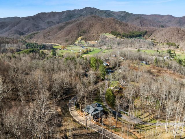 51 Bear Tree Cove, Canton, NC 28716