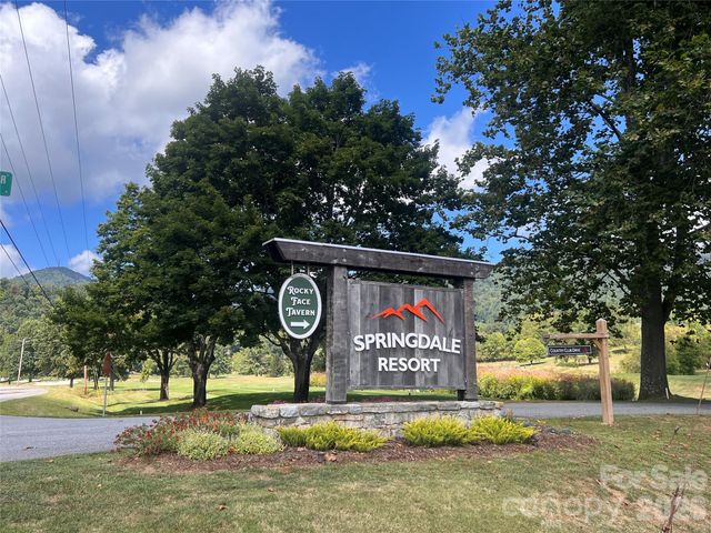 51 Bear Tree Cove, Canton, NC 28716