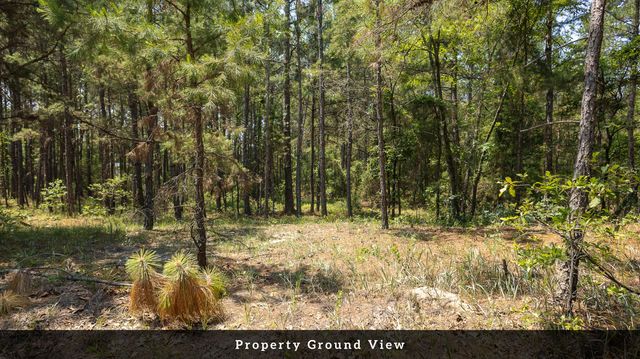 02 Broken Arrow Road, Eutawville, SC 29048