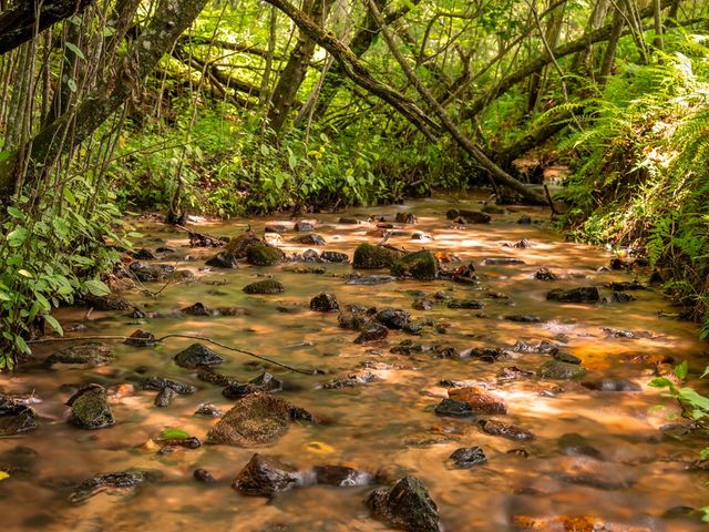 23.77ac Hardscrabble Road, Mineral Bluff, GA 30559