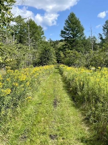 N5889 Soda Road, Princeton, WI 54968