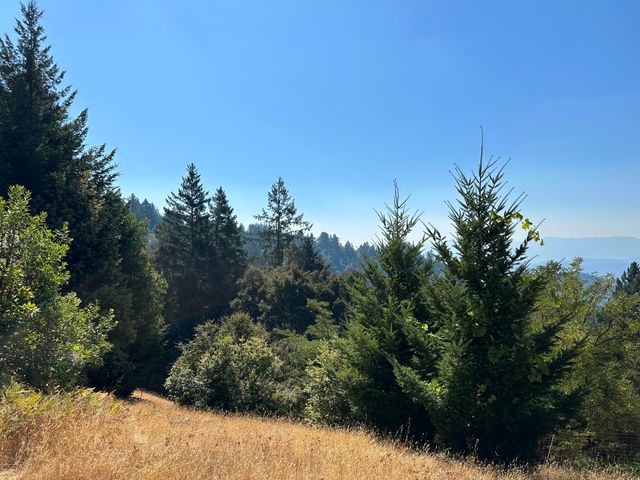 4840 Doody Ridge Road, Ettersburg, CA 95542