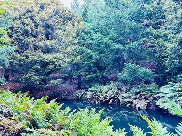 4840 Doody Ridge Road, Ettersburg, CA 95542