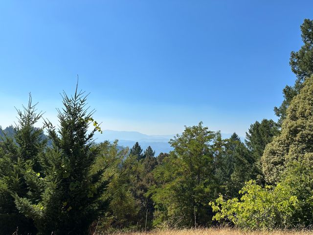 4840 Doody Ridge Road, Ettersburg, CA 95542