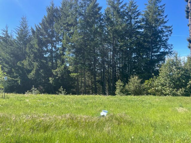 4840 Doody Ridge Road, Ettersburg, CA 95542