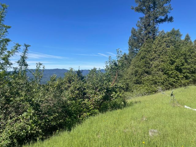 4840 Doody Ridge Road, Ettersburg, CA 95542