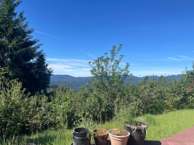 4840 Doody Ridge Road, Ettersburg, CA 95542