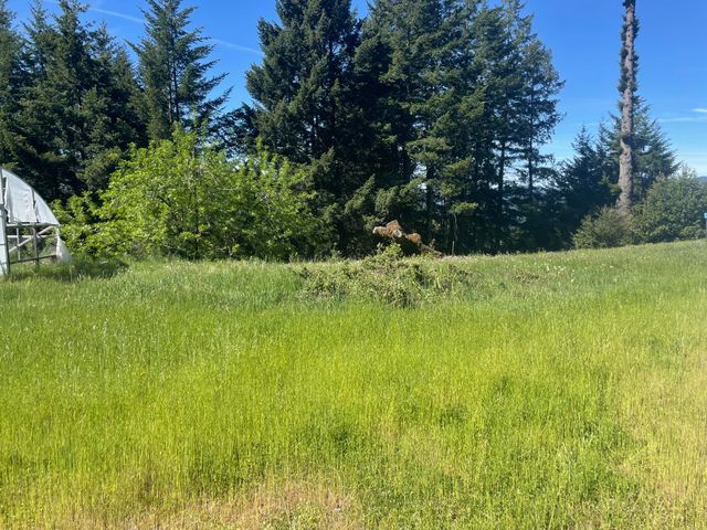 4840 Doody Ridge Road, Ettersburg, CA 95542