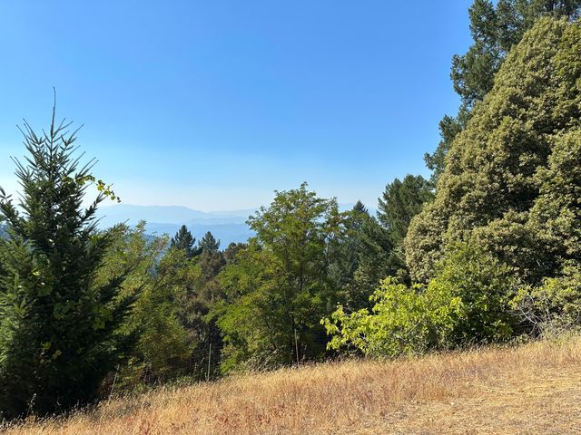 4840 Doody Ridge Road, Ettersburg, CA 95542