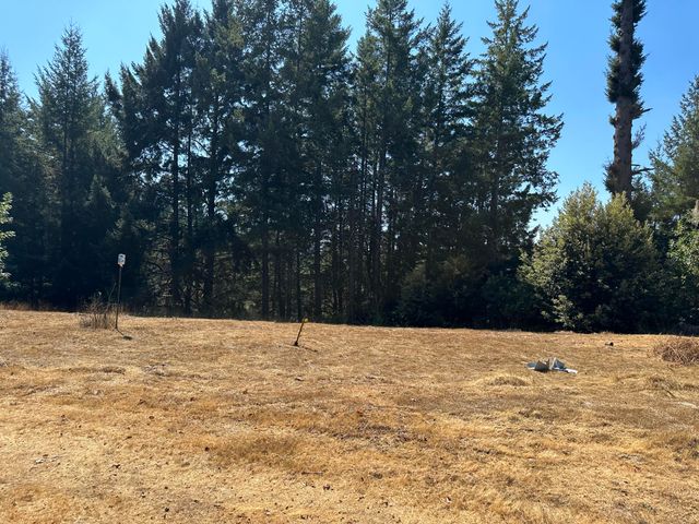 4840 Doody Ridge Road, Ettersburg, CA 95542