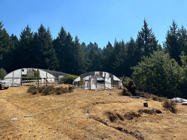 4840 Doody Ridge Road, Ettersburg, CA 95542
