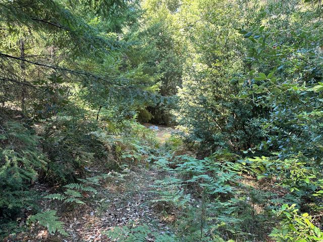 4840 Doody Ridge Road, Ettersburg, CA 95542