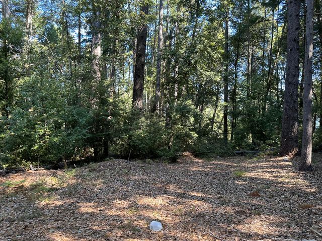 4840 Doody Ridge Road, Ettersburg, CA 95542